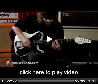 Pete Dee's Signature Schecter Guitar